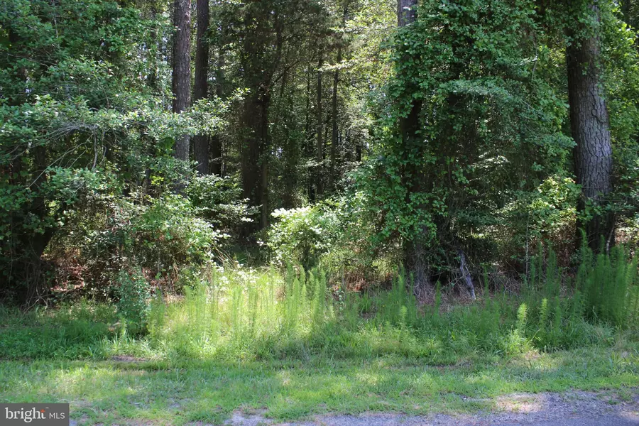 1075 AMIDSHIP DR, Greenbackville, VA 23356