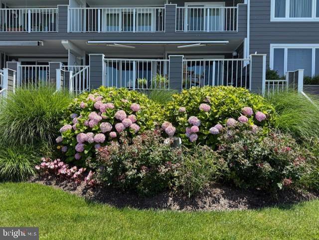 427 14TH ST #10203, Ocean City, MD 21842