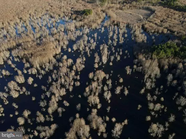 Beaufort, NC 28516,US HIGHWAY 64 (TRACT: INDIAN TOWN FARM)