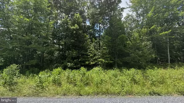 Maurertown, VA 22644,HUNTER RD. LOT 2