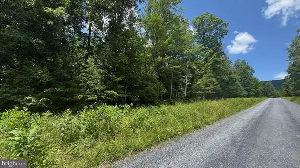 HUNTER RD. LOT 2, Maurertown, VA 22644
