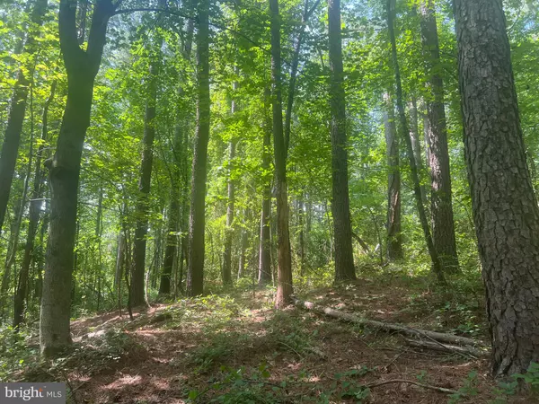 Sperryville, VA 22740,0 THORNTON GAP CHURCH ROAD