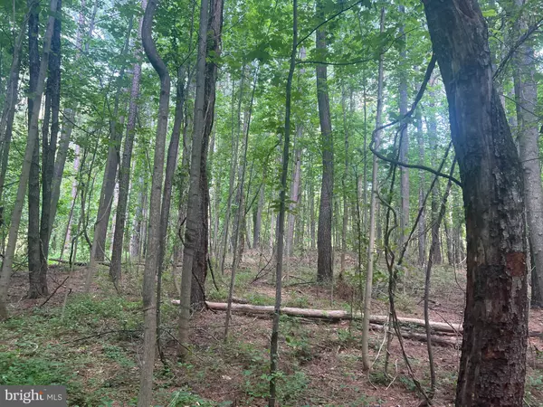 Sperryville, VA 22740,0 THORNTON GAP CHURCH ROAD