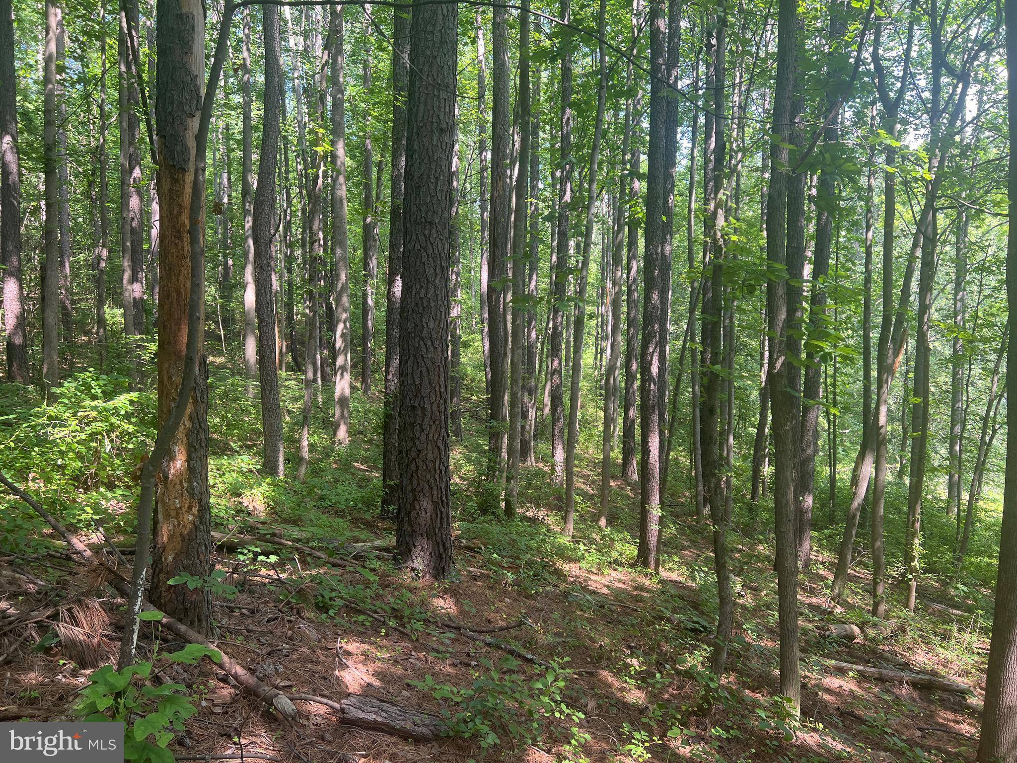 Sperryville, VA 22740,0 THORNTON GAP CHURCH ROAD