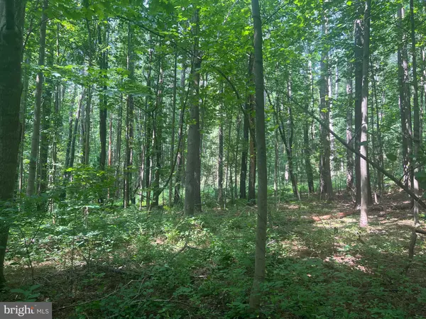 Sperryville, VA 22740,0 THORNTON GAP CHURCH ROAD