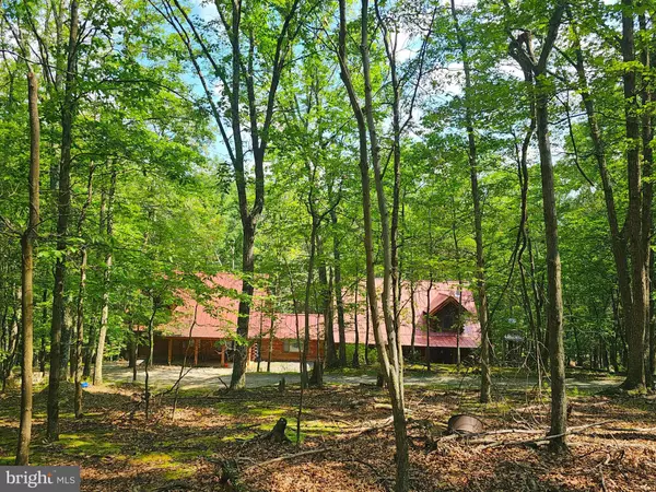 Burlington, WV 26710,3029 WHITETAIL RIDGE RD