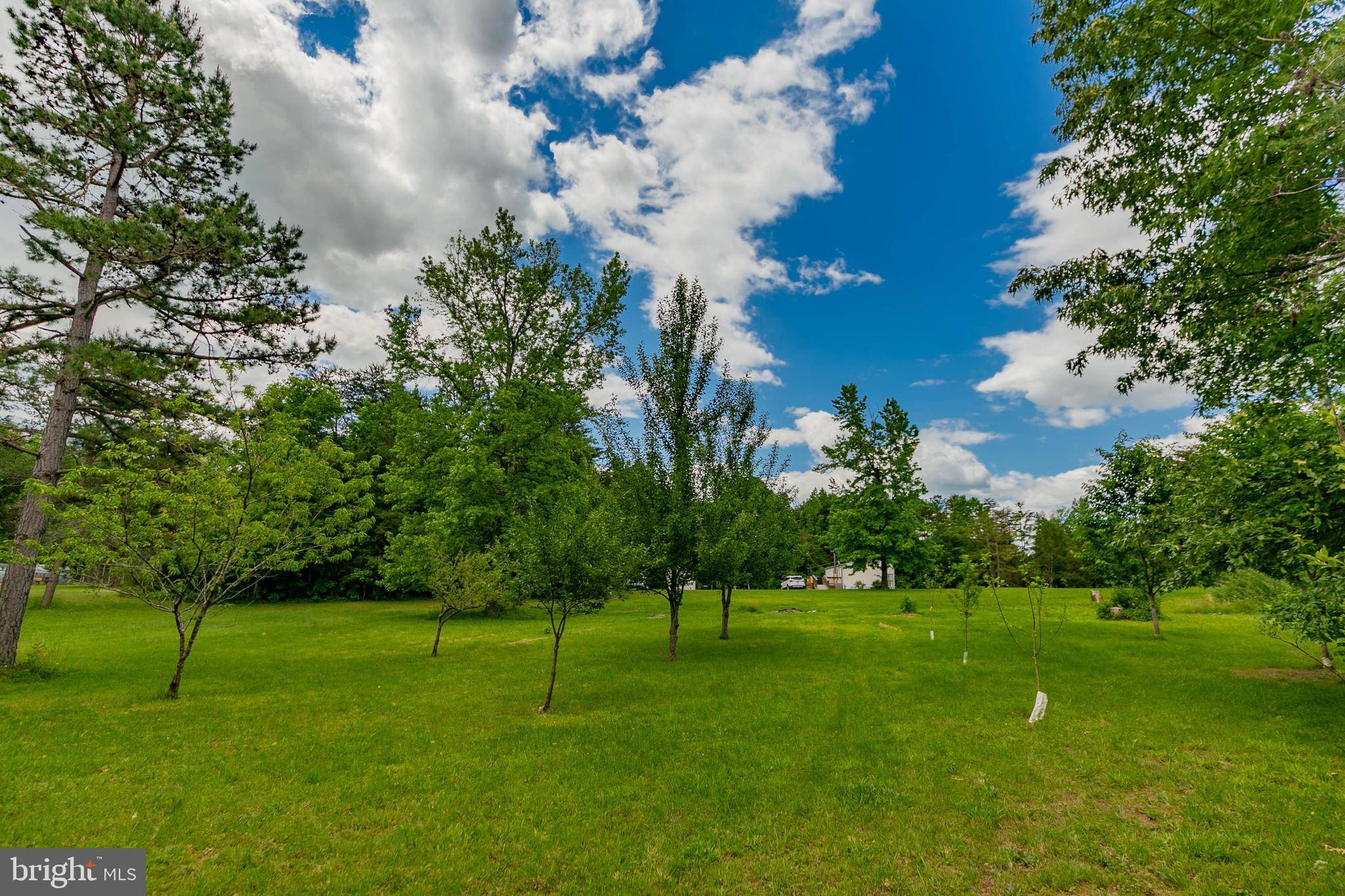 Beaverdam, VA 23015,19083 COUNTRY RD