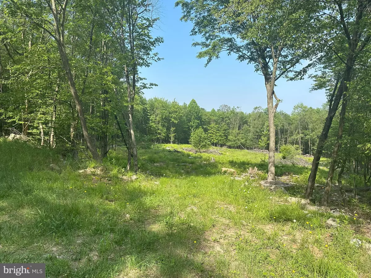 Grantsville, MD 21536,45 YOUNG WOOD LN