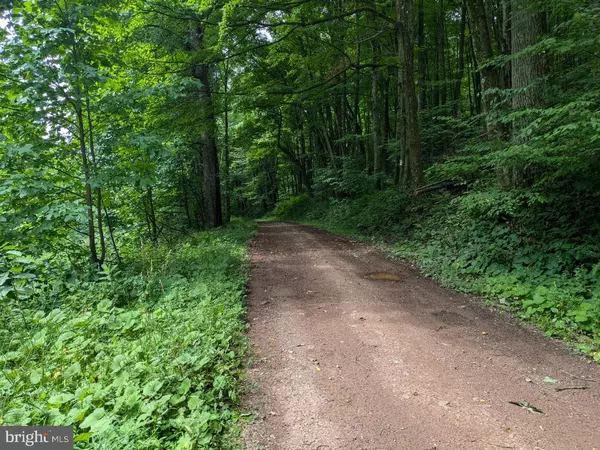 Alum Bank, PA 15521,0 BERKEY HOLLOW RD