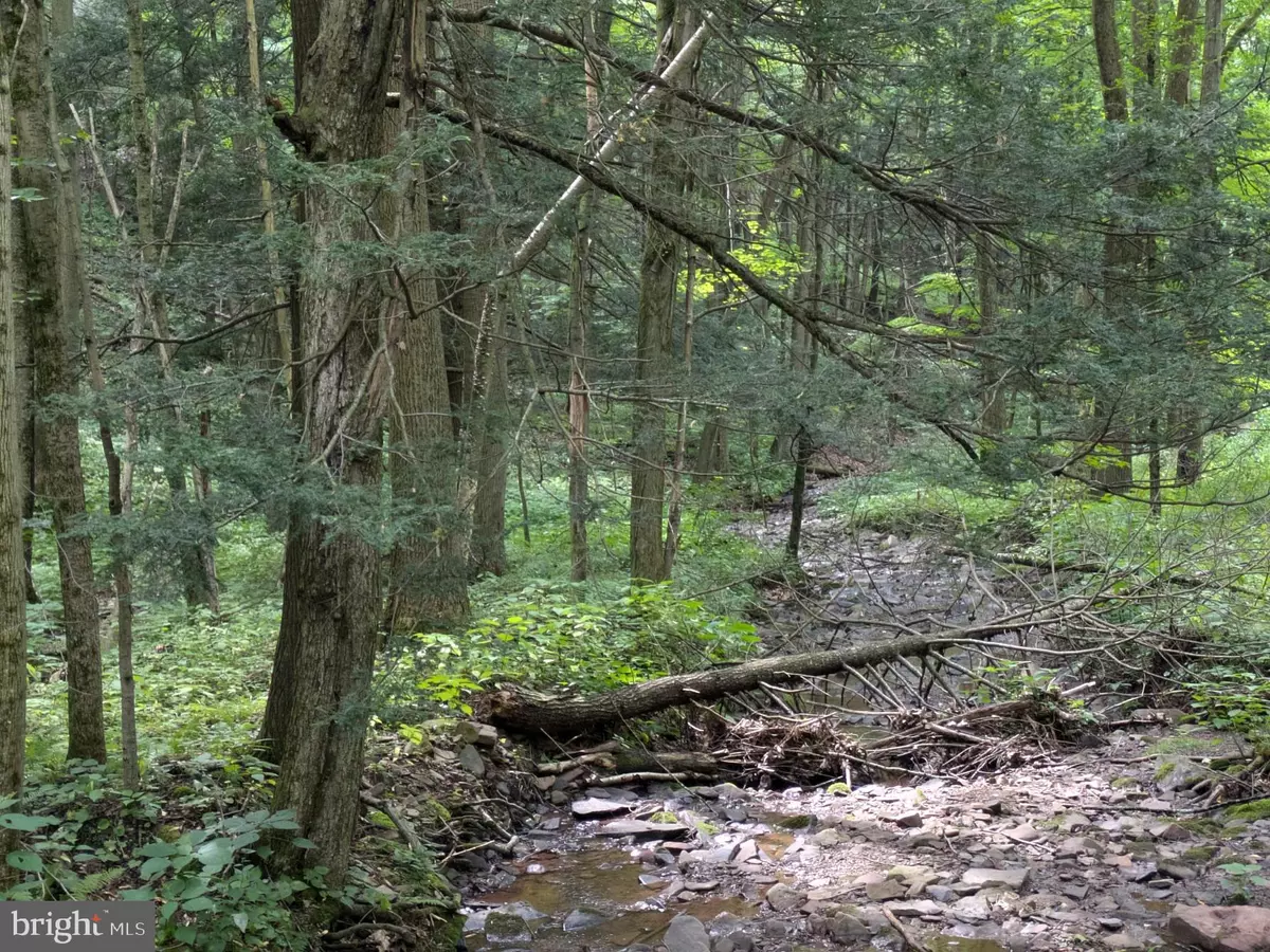 Alum Bank, PA 15521,0 BERKEY HOLLOW RD
