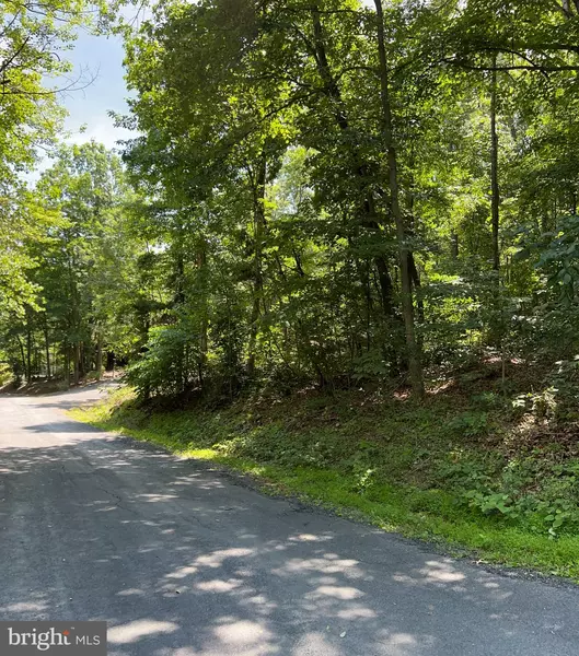 TBD WILLOW LN, Mount Jackson, VA 22842