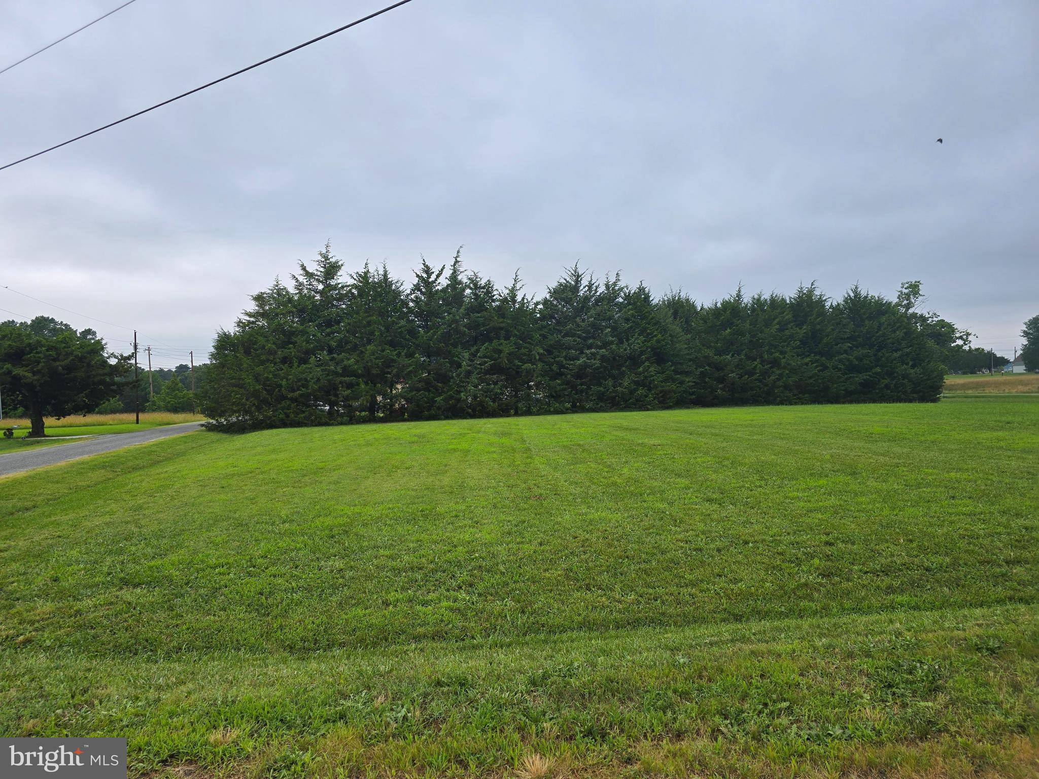 Montross, VA 22520,LOT 199 S. GLEBE RD