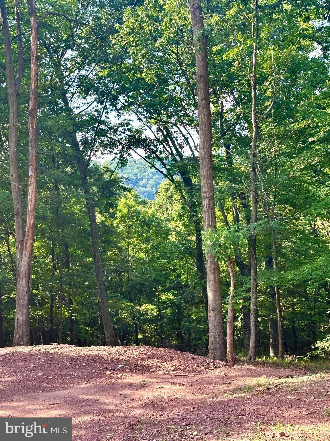 LOT 302 WINTERBERRY DR, Moorefield, WV 26836