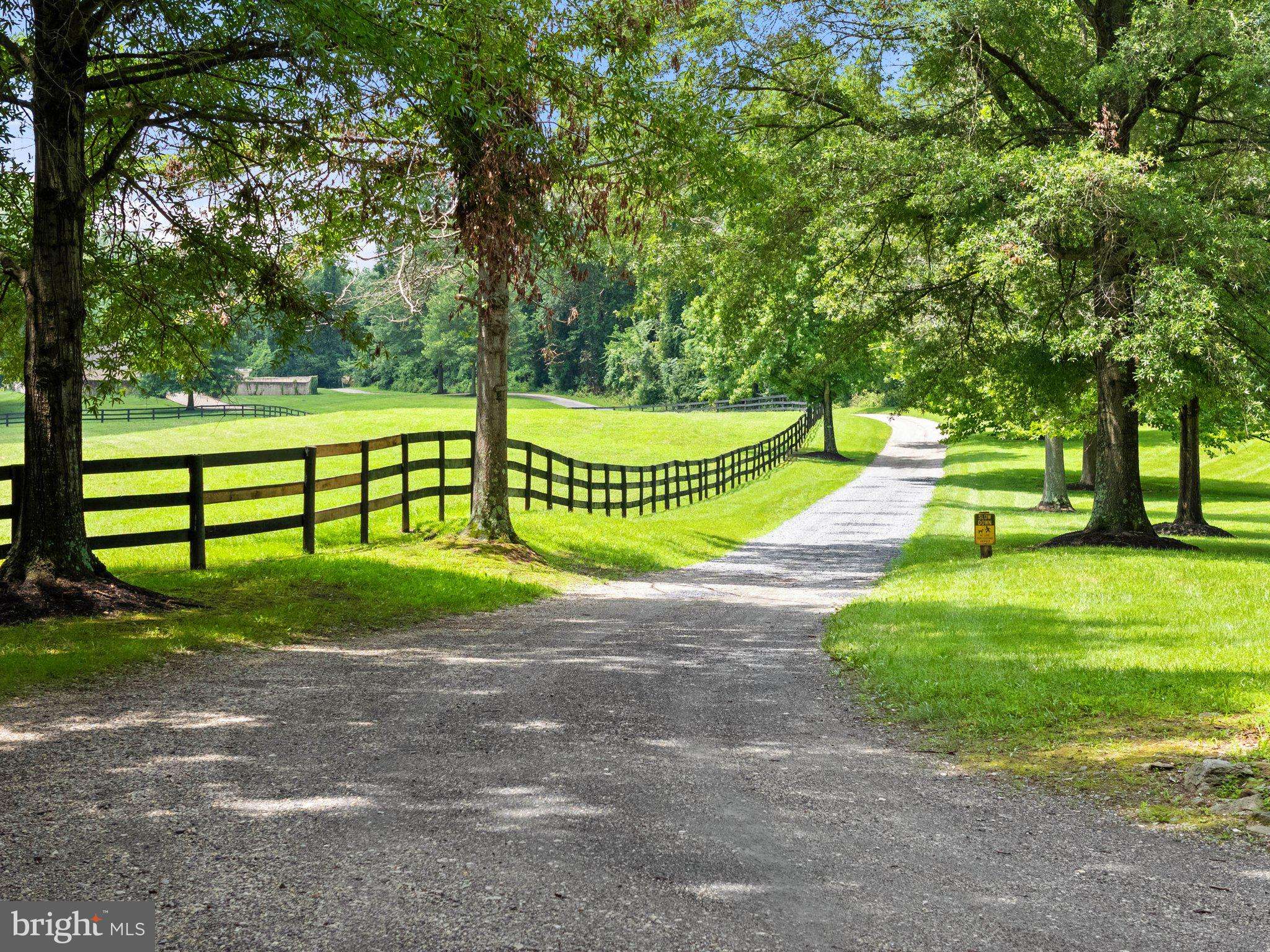 The Plains, VA 20198,6289 COON TREE RD