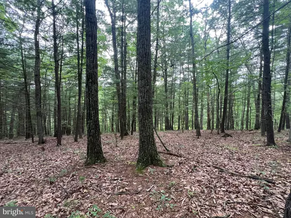 Clearville, PA 15535,LOT 7 ROBINSONVILLE ROAD