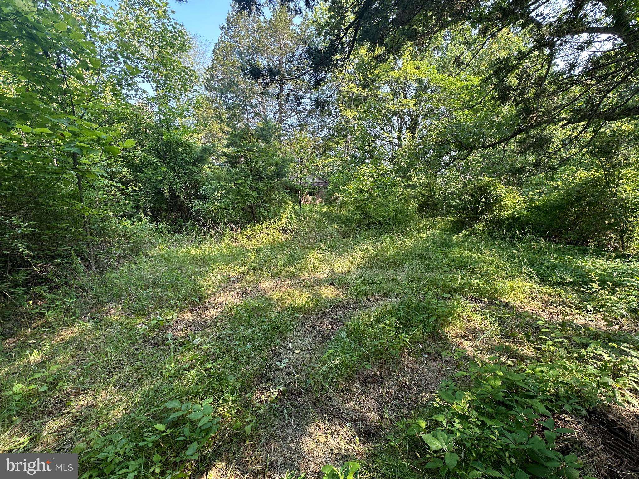 Spotsylvania, VA 22551,10017 HAYDEN RD