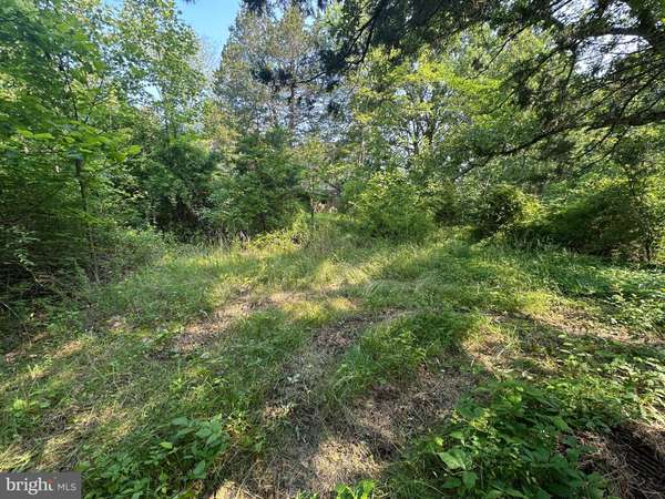Spotsylvania, VA 22551,10017 HAYDEN RD