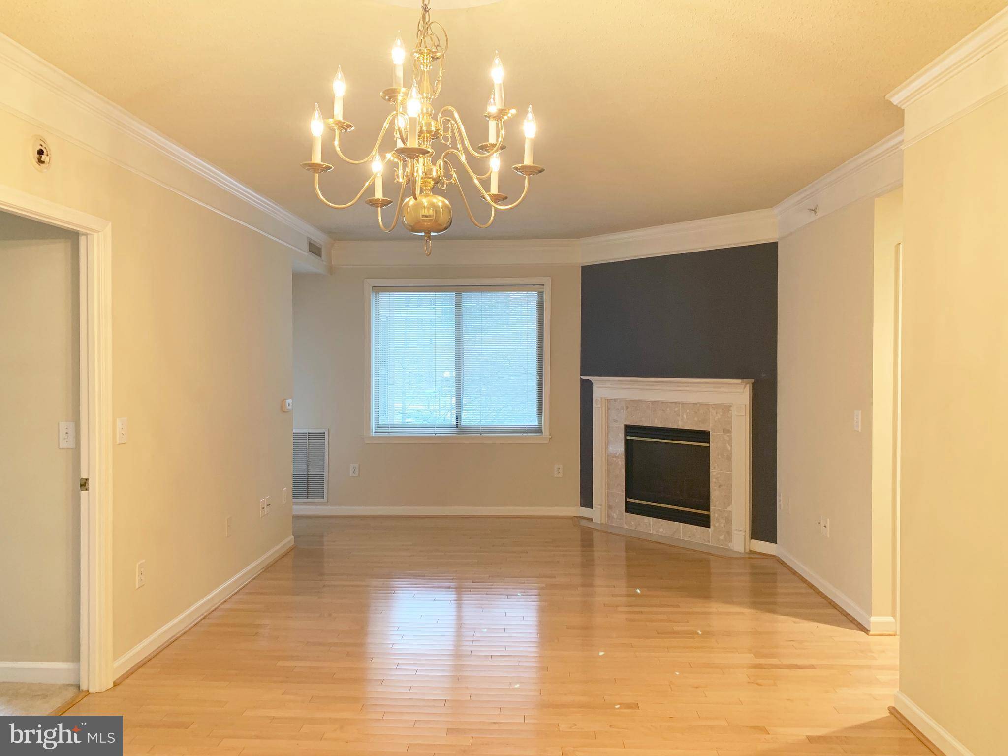 Arlington, VA 22201,901 N MONROE ST #203