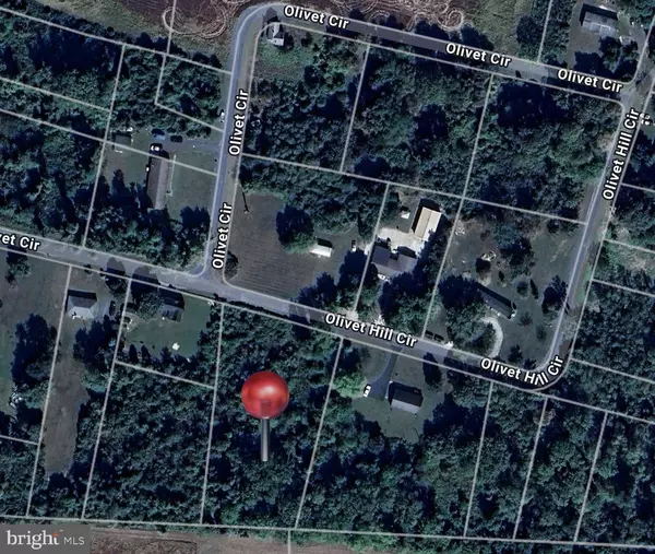 Galena, MD 21635,OLIVET HILL RD