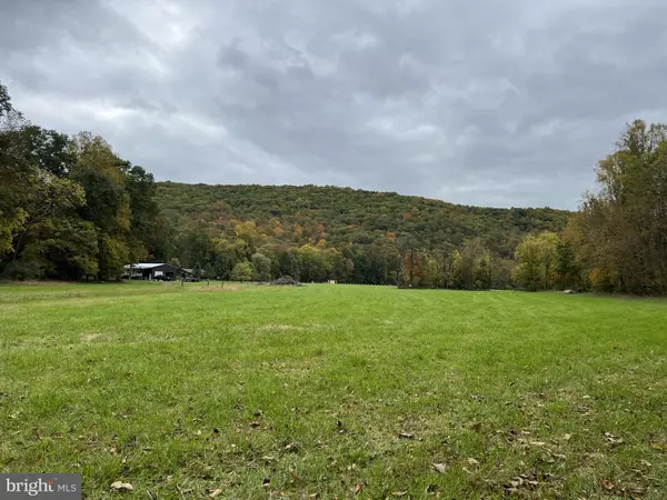 LOT 4 SECTION 1 LITTLE CACAPON LEVELS RD, Points, WV 25437