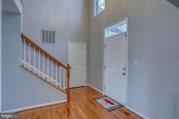 Smyrna, DE 19977,21 BLUEGRASS