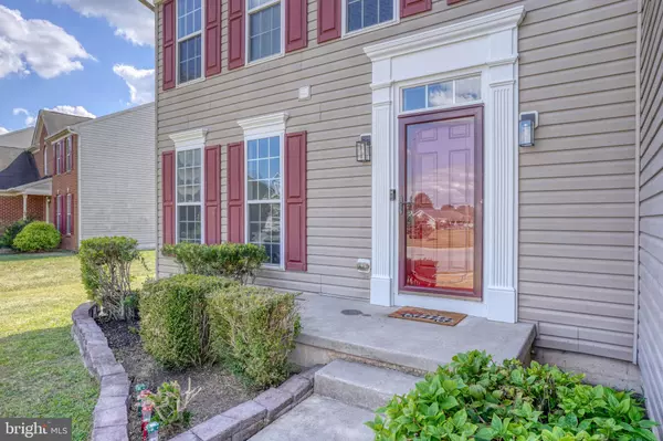 Smyrna, DE 19977,21 BLUEGRASS