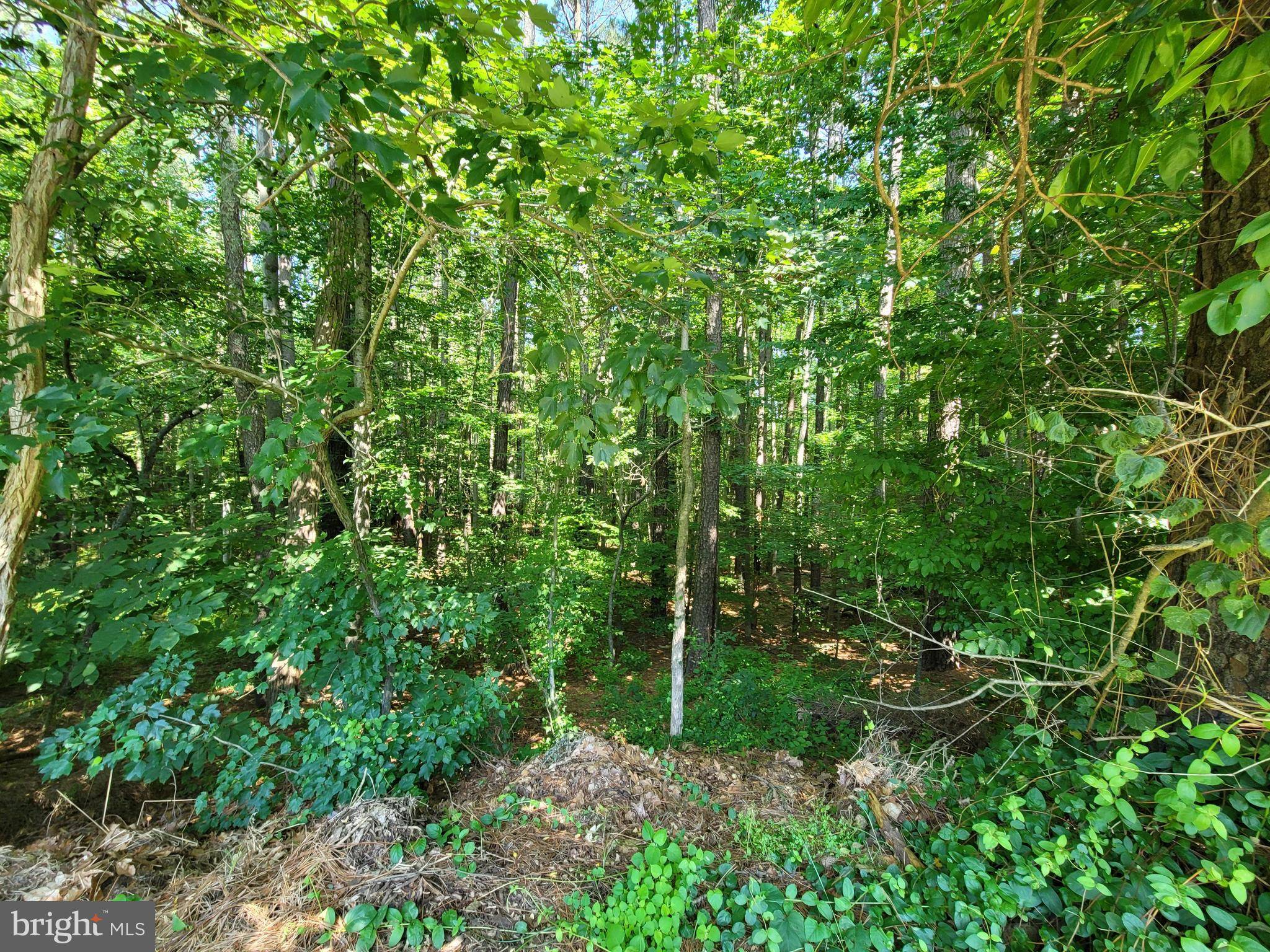 Queenstown, MD 21658,ARRINGTON RD