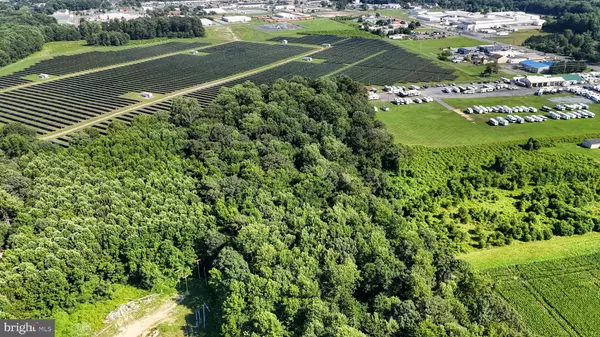 Milford, DE 19963,818 MILFORD HARRINGTON HWY