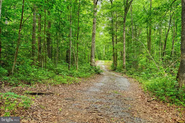 Mineral, VA 23117,JOHNSON RD