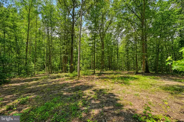 Mineral, VA 23117,JOHNSON RD