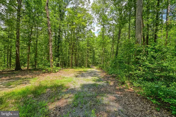 Mineral, VA 23117,JOHNSON RD