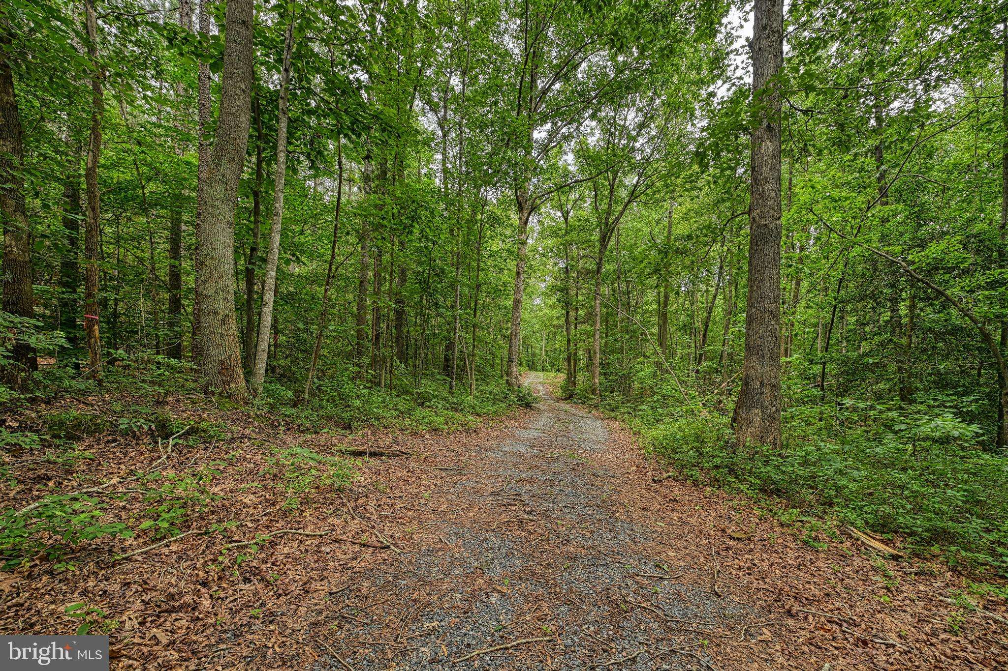Mineral, VA 23117,JOHNSON RD