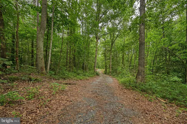 Mineral, VA 23117,JOHNSON RD