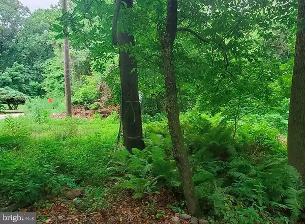 Philadelphia, PA 19128,340 WIGARD AVE