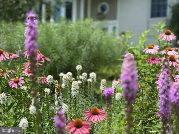 Arlington, VA 22204,4835 9TH ST S