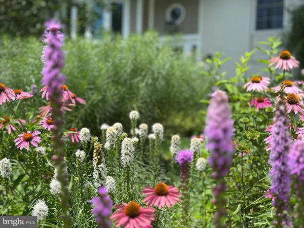 Arlington, VA 22204,4835 9TH ST S