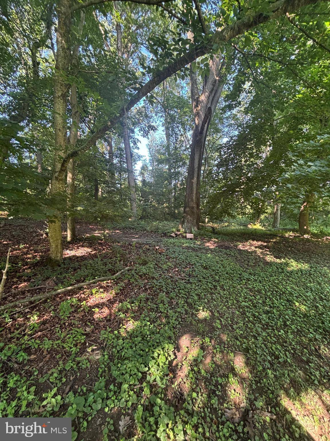 Hampstead, MD 21074,LEES MILL RD