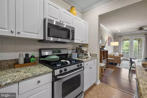 Gaithersburg, MD 20878,8 GRANITE PL #264