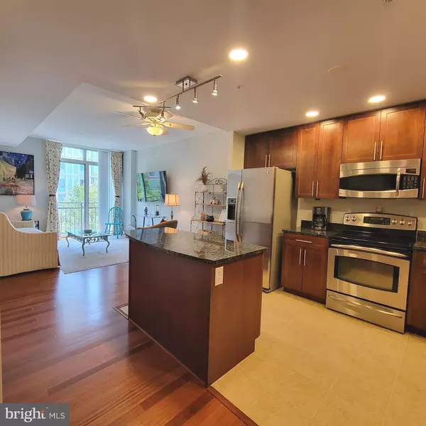 Oxon Hill, MD 20745,155 POTOMAC PSGE #318