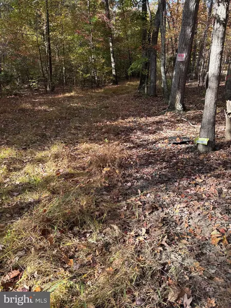 23 TAYLOR RD, Louisa, VA 23093