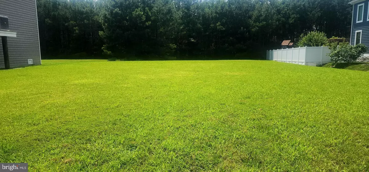 Selbyville, DE 19975,38101 NATURES WALK WAY