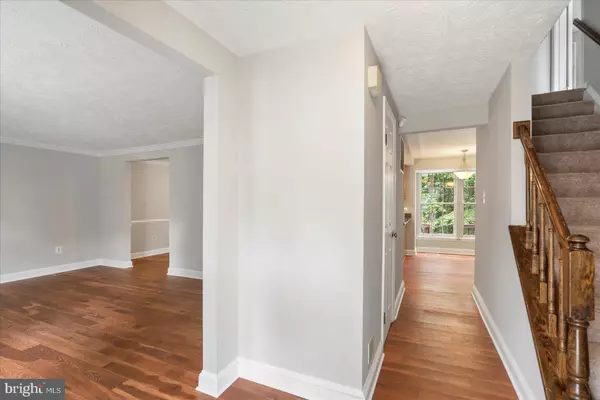 Burtonsville, MD 20866,14828 SILVER ASH CT