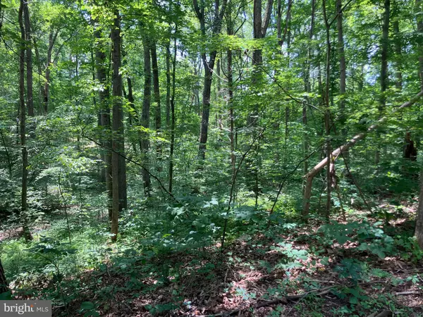 Louisa, VA 23093,LOT 1223 N LAKESHORE DR