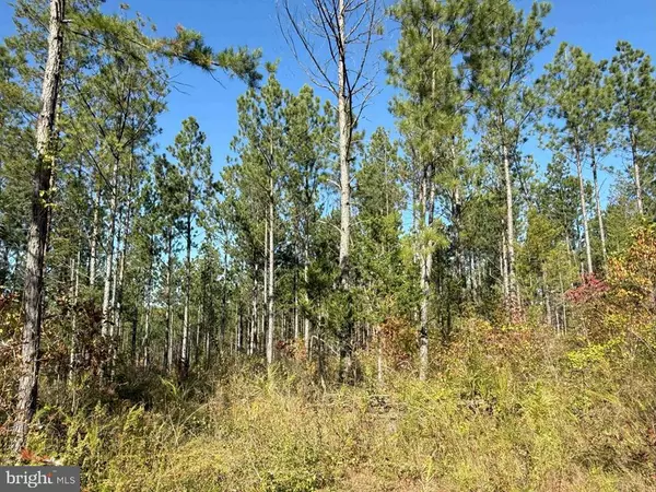 Charlotte Court House, VA 23923,WOODFORK ROAD (RT. 650) (TRACT ROGERS-4)