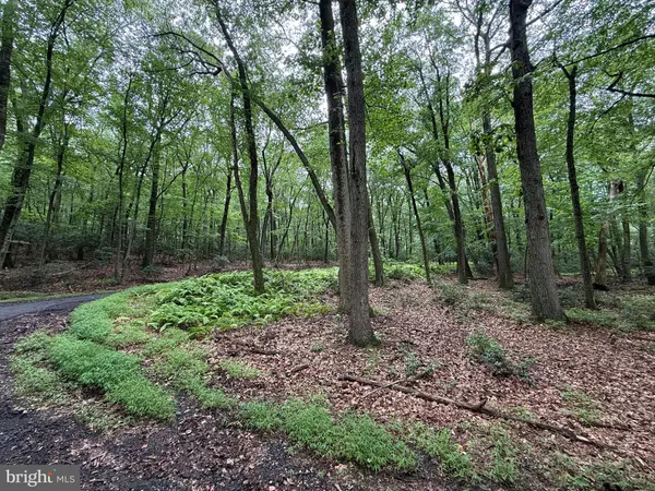 Reading, PA 19606,0 HIGHLAND AVENUE