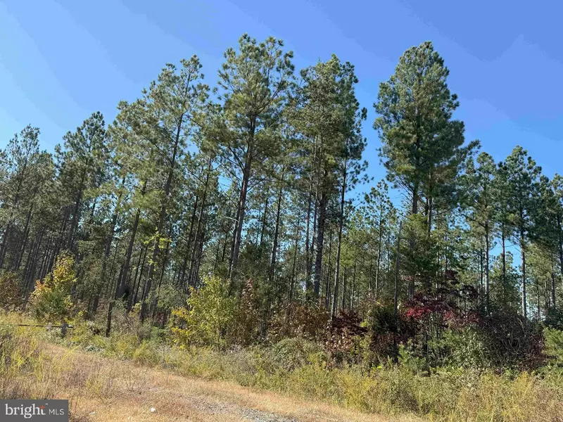 STATE RT. 47 (TRACT ROGERS-5), Charlotte Court House, VA 23923