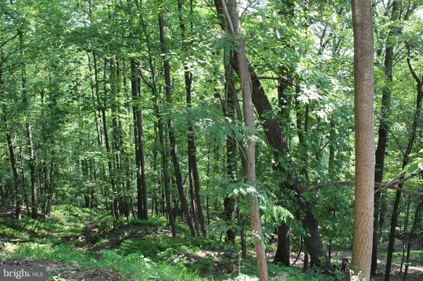 Haymarket, VA 20169,1507, 1505, 1503, 1501 SUMMIT DR