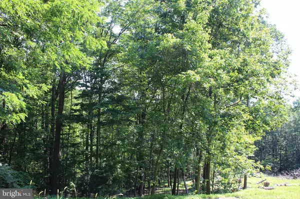 Haymarket, VA 20169,1507, 1505, 1503, 1501 SUMMIT DR