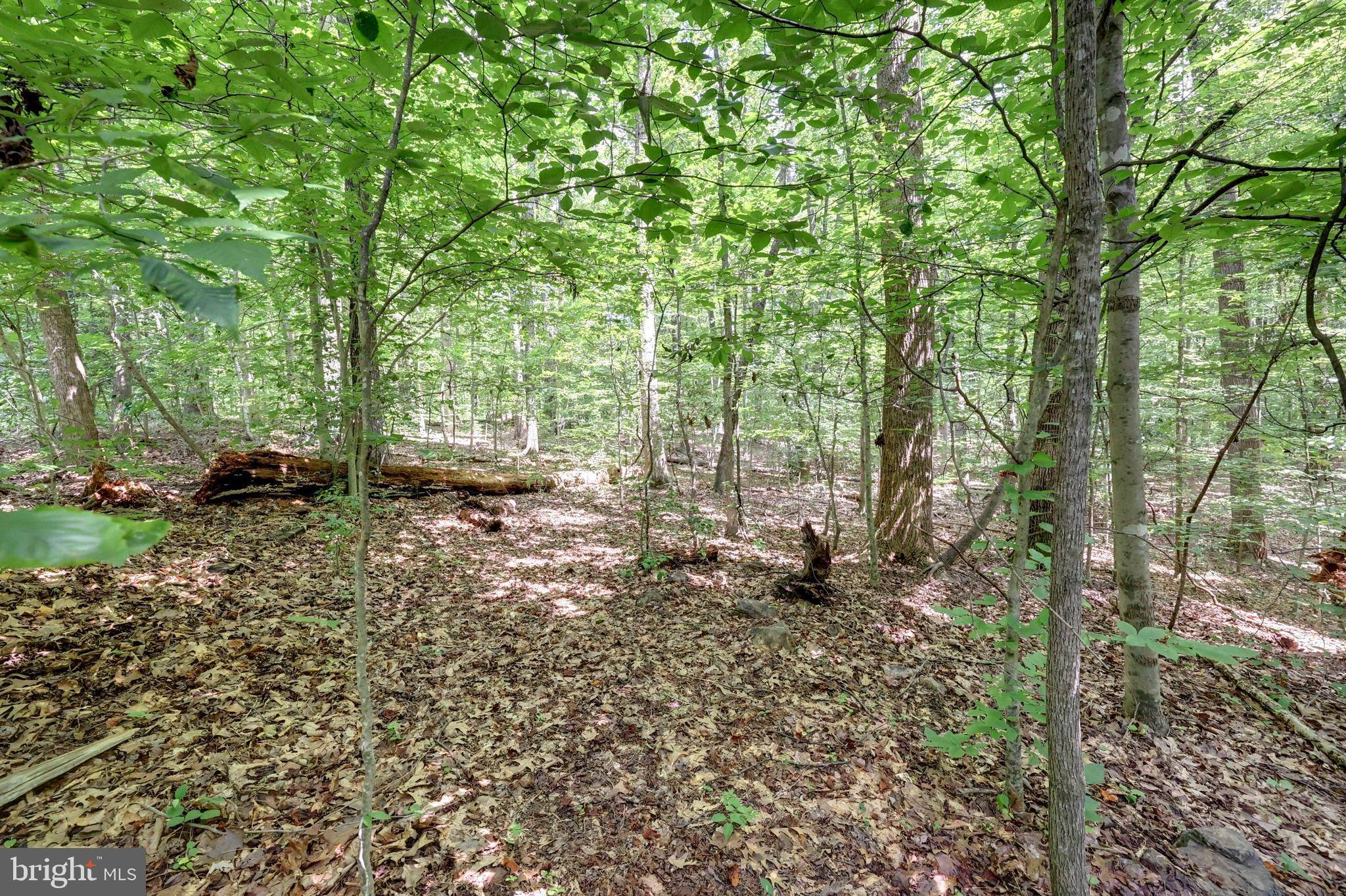Fairfax Station, VA 22039,7823 WILLOWBROOK RD