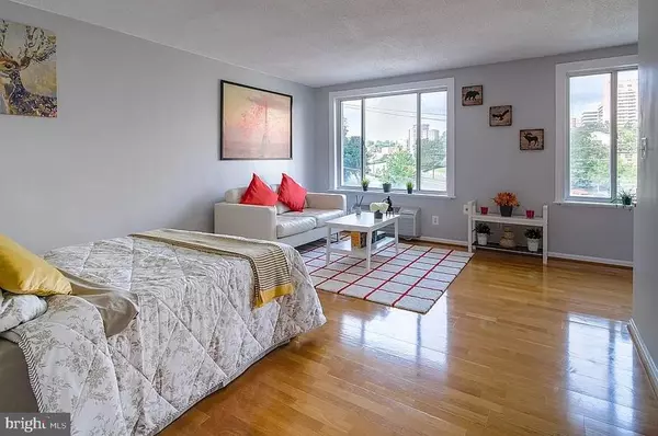 Arlington, VA 22209,1730 ARLINGTON BLVD #309